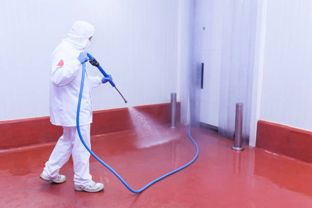 Best Gutter Cleaning and Brightening in Lake Forest, CA