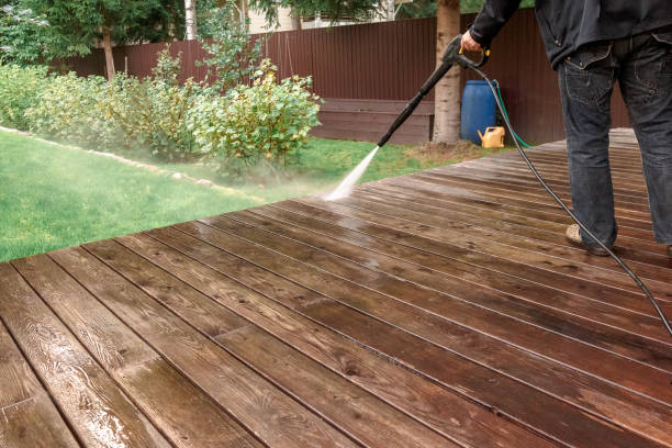Best Roof Cleaning and Mildew Removal in Lake Forest, CA
